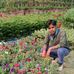 Vijay Meena - Facebook