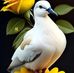 Vijay Narayan - Facebook