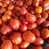 Vijay Harripersad - @vijay.harripersad - TikTok