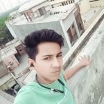 Vijay Persad - @vijaypetdad - Instagram