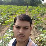 Vijaykumar Solanki - @vijaykumar.solanki.3517 - Instagram