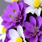 Vijaykumar Solanki - @vijaykumar126688 - Instagram
