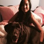 Viji Evers - @viji72 - Instagram