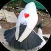 mavijikumar - @mavijikumar - TikTok