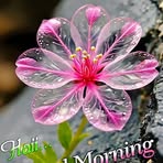 Viji Kumar - Facebook