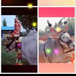 viji kumar - @vijikumar84 - Instagram