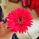 Viji Kumar - @vijimgh1998 - Instagram