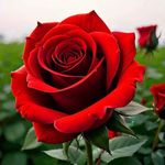 Vikesh Gupta - @vikeshgupta8021 - Instagram