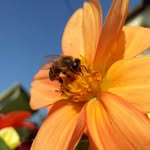 Vik Nature - @vik_nature - Instagram