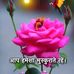 Vik Shah - Facebook