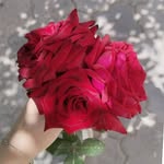 kartik - @vikas.bhatnagar.1656 - Instagram