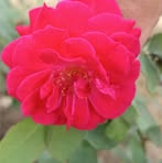 Vikas Mohan - Facebook