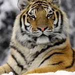 Vikas Parekh - @vikasaparekh - Instagram