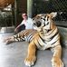 Vikas Singla - Facebook