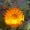 Vikas Sinha - @ivsinha - TikTok