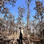Vikas Sinha - @_vikas.05._ - Instagram