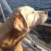 Vicki Ball - @vicki.ball57 - TikTok