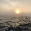 vikkiellis00 - @vikkiellis00 - TikTok