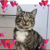 Vikki Freeman - @vikki.freeman5 - TikTok