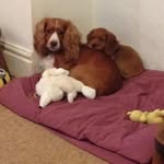 Vicki Gordon - @vickigordon2002 - Instagram