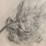 Vikki Gordon - @vikki_gordon_fine_art - Instagram