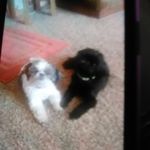 Vicki Hanks - @vickihanks5 - Instagram