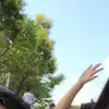 Vikki-Chinese teacher - @vikkilee0527 - TikTok