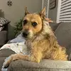 Vikki Lee - @billybuck_farmer - TikTok