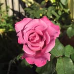 Vikki Mitchell - @vikki.mitchell.750 - Instagram