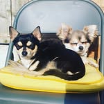 Vikki Moore - @a_tiny_bears_life - Instagram