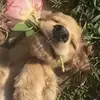 Vicki Taylor✝️🥎✝️ - @vicki.taylor51 - TikTok