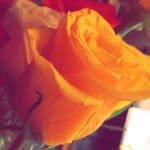 🌹💨∇IҜҜI TΩRRΣS 💨🌹 - @vikki_torres_13 - Instagram