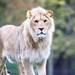 Vikram Bhullar - @vikram_bhullar___ - Instagram