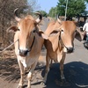 Vikram Jadhav - @vikramjadhav134 - TikTok