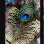 Vikram Rawal - @vikram_rawal74 - Instagram