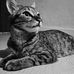 Vikram Srinivasan - Facebook
