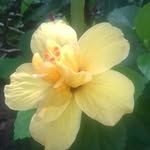 Vikraman Vasudevan - @vikraman.vasudevan - Instagram