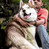 Vikrant Bakshi - @vikrantbakshi5 - TikTok