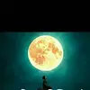 Vikrant Dada Mule - @vikrantdadamule - TikTok