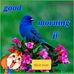 Vikrant Salaria - Facebook
