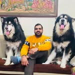 Vikrant Shokeen - @shokeenmalamute - Instagram