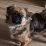 Виктор Чендей - @viktorchendei - Instagram