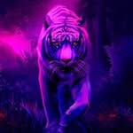 Viktor Davidov - @viktor_davidov - Instagram