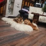 Виктор Дорошенко - @viktordoroshenko29 - Instagram