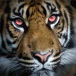 Виктор Логинов - @viktorloginov6135 - Instagram