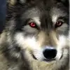 Viktor Loginov - @viktor.loginov8 - TikTok