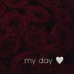 𝒱𝒾𝓀𝓉ℴ𝓇𝒾𝒿𝒶 ℐ𝓋𝒶𝓃ℴ𝓋𝒶 - @i_v_a_n_o_v_a_2.0 - Instagram