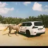 Kham Vangvilai - @kham.vangvilai - TikTok