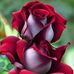 Vilma Arcilla - Facebook