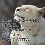 Vilma Ayala - @ayalavilma - Instagram